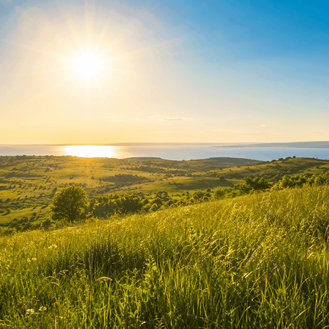 Bright midday sun over rolling green grassy hills above a distant body of water under a clear blue sky